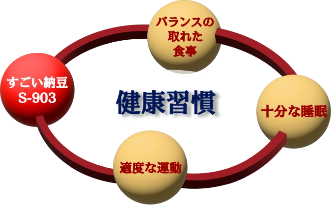 健康習慣 バランスの取れた食事 十分な睡眠 適度な運動 すごい納豆S-903